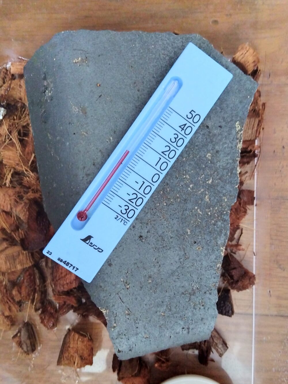 瓦の上に気温10℃を指す温度計が置いてあり、瓦の下にはトビズムカデが半冬眠モードで休んでいる。