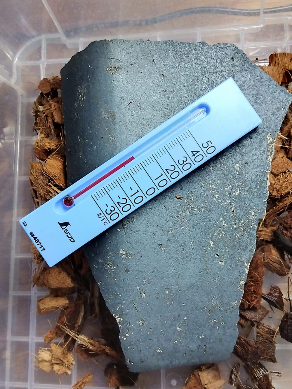 12月11日にムカデ飼育ケース内の瓦の上で測定した気温が約8℃を示している温度計の様子