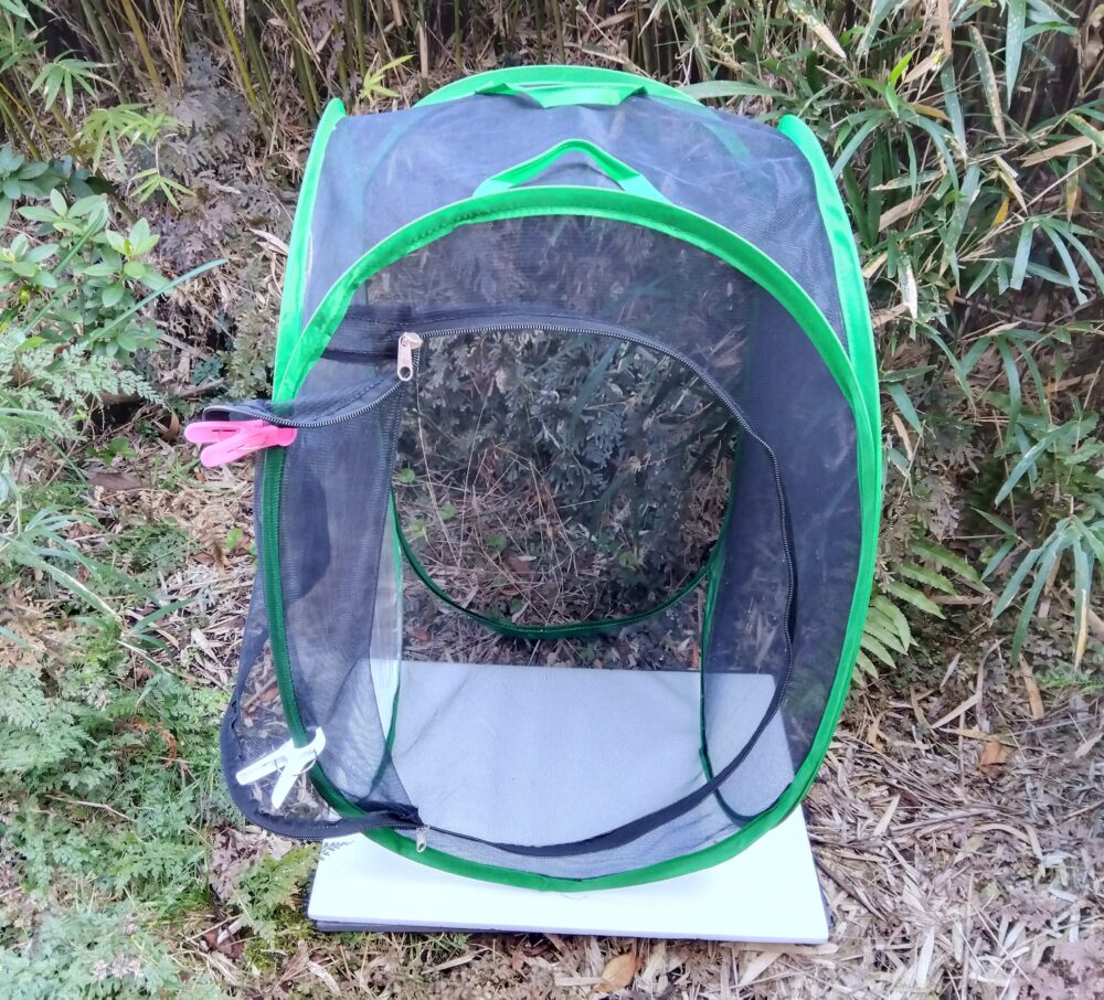 屋外に設置した昆虫ゲージの扉を開けた状態の外観。通気性や設置時のサイズ感が分かる紹介写真