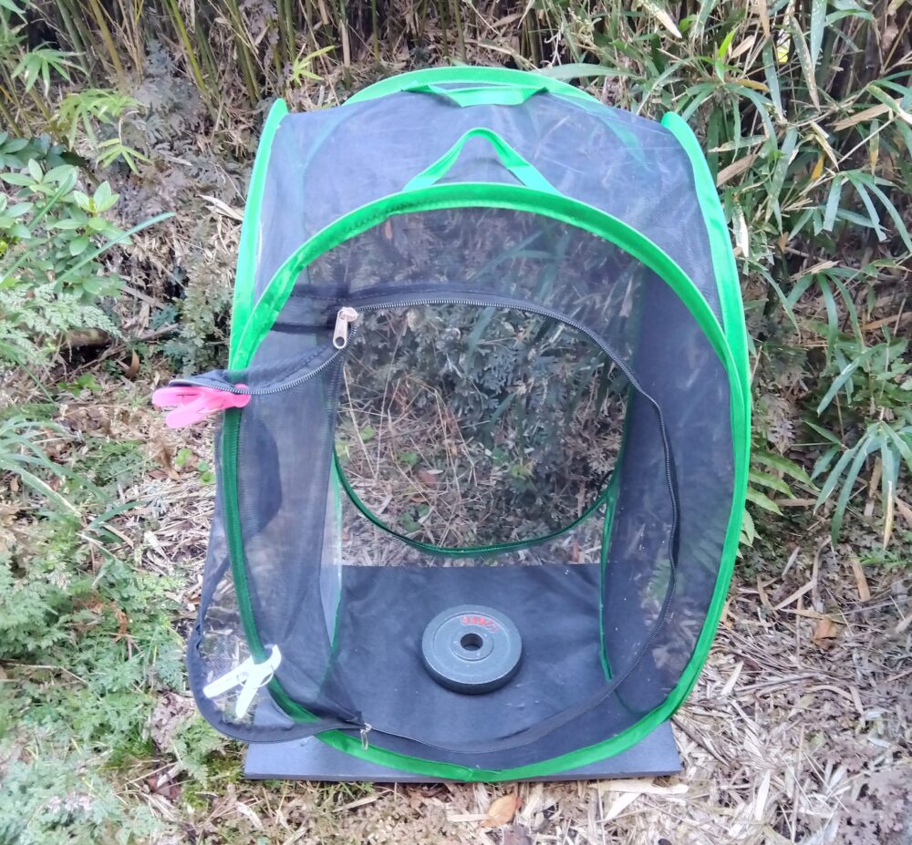 屋外設置した昆虫ゲージの中にダンベルを置いて、風による転倒を防止している様子。重りを入れたまま持ち上げない注意点を示す写真