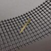 ブログのアイキャッチ画像：ハラビロカマキリの孵化で見つかった珍しいグレー（褐色）で細長いお腹の幼虫