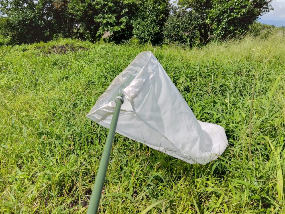 草むらに置かれた白い虫取り網
