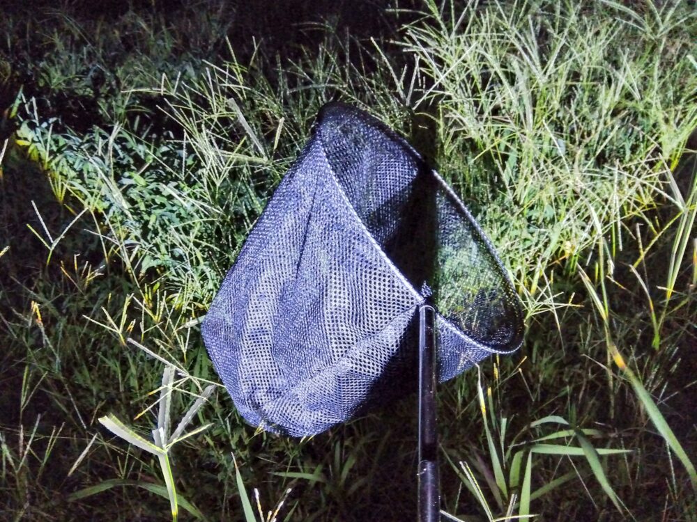夜間の草むらで使用される、中身が確認しづらい黒い虫取り網のクローズアップ"